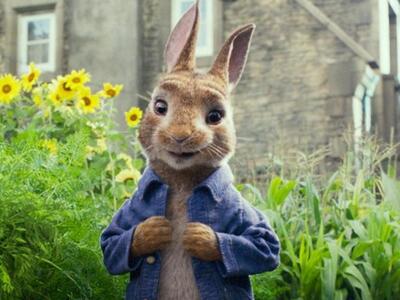 ΑΡΕΣΕΙ ΚΑΙ ΣΤΗΝ ΠΑΤΡΑ Ο ΚΙΝΗΜΑΤΟΓΡΑΦΙΚΟΣ...