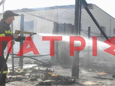 Αμαλιάδα: Ολοκαύτωμα παράγκα-Από θαύμα γ...