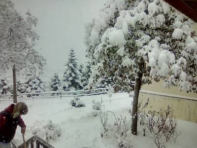 Κάτασπρο σκηνικό και στην ορεινή Ναυπακτ...