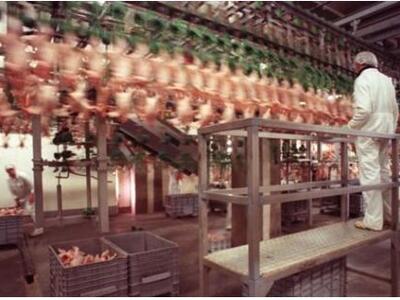 Η Εθνική Φρουρά προμηθεύτηκε ακατάλληλα ...