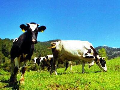 Βραβεύτηκαν επτά καινοτόμοι επιχειρηματί...