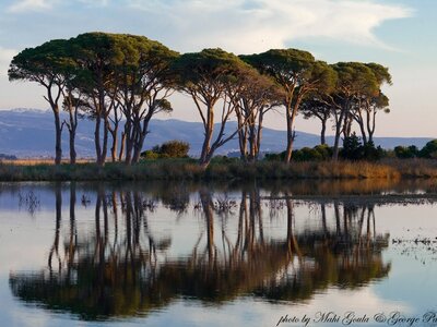 ΣΥΡΙΖΑ Αχαΐας: Eπίσκεψη αντιπροσωπείας τ...