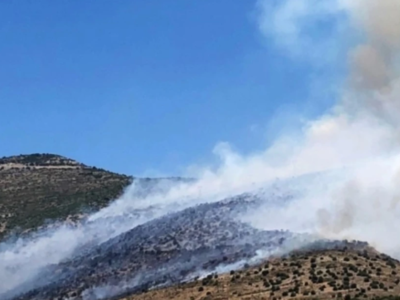 Πυρκαγιά σε δασική έκταση στο Κυψελοχώρι Λάρισας 