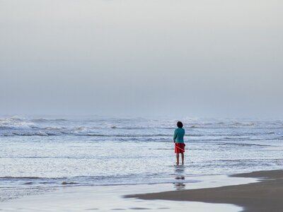 Τα 3 ζώδια που απελευθερώνονται από το π...