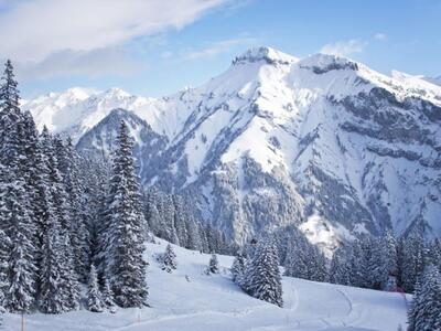 Οι Άλπεις μπορεί να χάσουν ως και το 70%...
