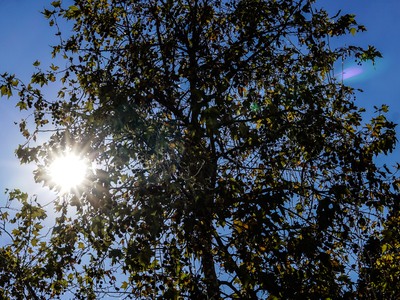 Υποχωρεί η κακοκαιρία- Στους 32°C το θερ...