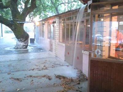 Σήμερα στη Βλασία