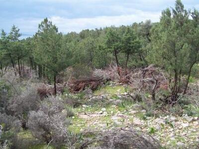 Ακούει κανείς;