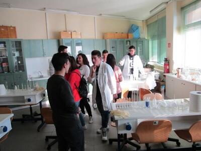 Αχαϊα: Σημαντικές διακρίσεις σχολείων το...