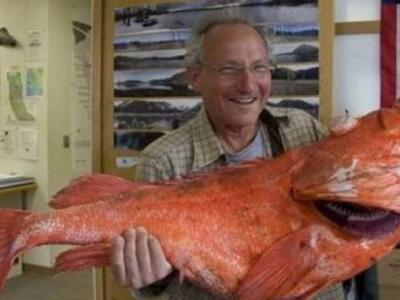 To ψάρι που ανακάλυψε το ελιξήριο της ζω...
