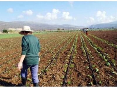 ΕΛΓΑ: Ποιοι αγρότες δικαιούνται οικονομι...