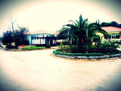 Πάτρα: Πρόγραμμα Επαγγελματικής Κατάρτισ...