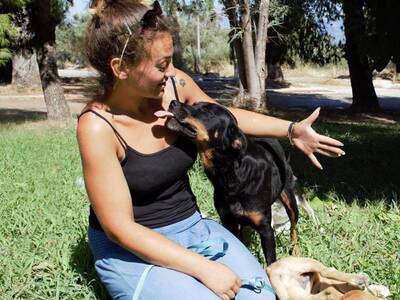 Η ΑΡΙΣΤΕΑ ΨΟΥΝΗ