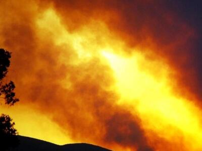 Οι Οικολόγοι Πράσινοι για το ξέσπασμα δα...