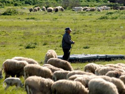 Αιτωλοακαρνανία: Εγκρίθηκε η σύνταξη των...