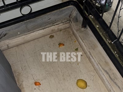 Πάτρα- Τερψιθέα: Όταν πέφτει η νύχτα, εκ...