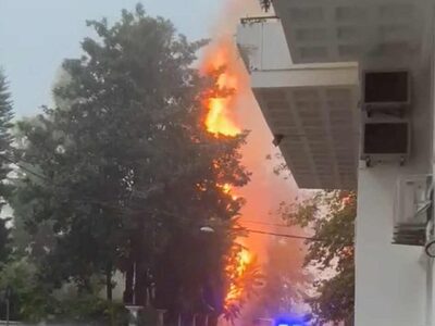 Ναύπακτος: Φωτιά σε δέντρο από χτύπημα κ...