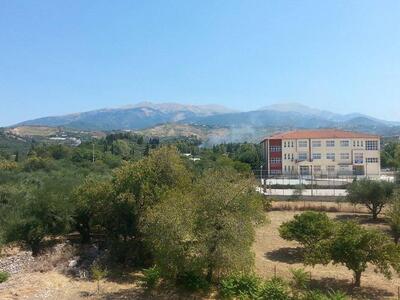 ΦΩΤΟ ΑΠΟ ΤΑ ΣΥΧΑΙΝΑ ΠΑΤΡΩΝ