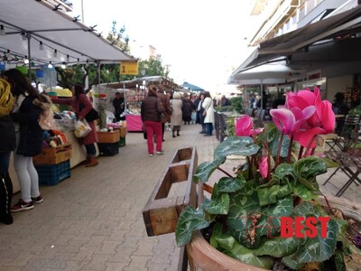 Πάτρα: Οι μποναμάδες στήθηκαν και φέτος ...