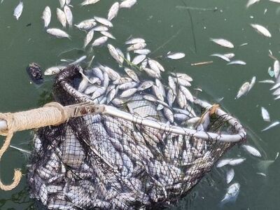Κοινή ανακοίνωση Αντιπεριφερειάρχη Π.Ε. ...