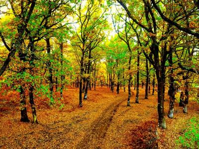 Στο καλάθι οι ενστάσεις Πατρινών για του...