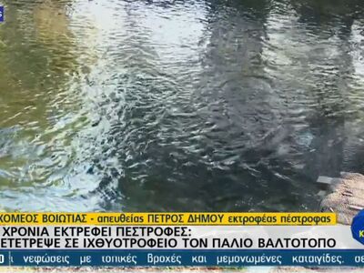 Τα ψάρια του Ορχομενού