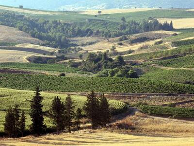 Εμπλοκή με δεκάδες αγροτικές εκτάσεις στ...
