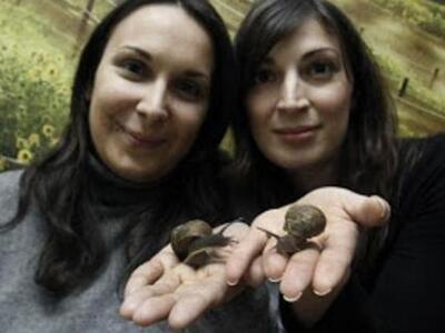 Οι δυο Ελληνίδες που είναι πρώτες σε όλο...