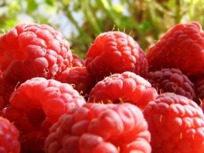 Οι επιστήμονες «έβαψαν» πορτοκαλί τα φρα...