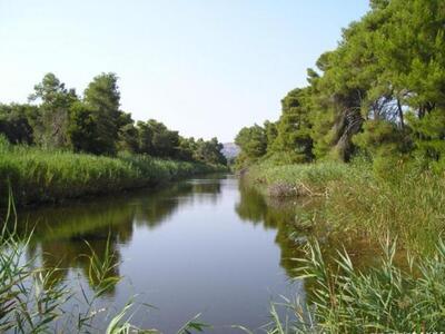 Δυτική Ελλάδα: Οικολογική εξόρμηση στο δ...