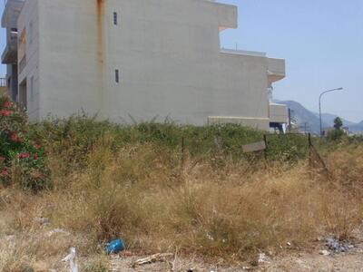 Πάτρα:Ποντίκια, φίδια και ξερά χόρτα σε ...