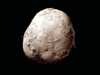 Η φωτογραφία αυτής της πατάτας αγοράστηκ...