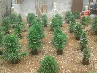 Ισοβίτης πήρε άδεια από τη φυλακή του Αγ...