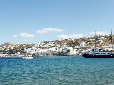 Lear jet, ελικόπτερα και μπάτλερ..Η Μύκο...