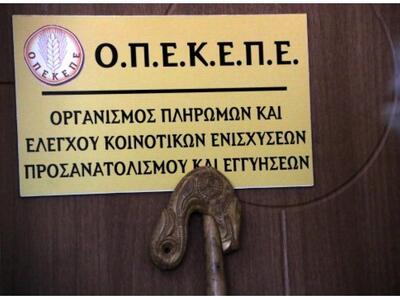 Μπήκε στα γραφεία του ΟΠΕΚΕΠΕ και τα έκα...