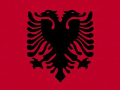 Αλβανοί εθνικιστές έστησαν μπλόκο στη Χρυσή Αυγή!