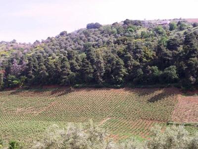 Το περιβάλλον φυγείν αδύνατον….