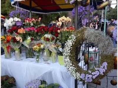 Πάτρα: Απόψε η συναυλία του Ζερβουδάκη σ...