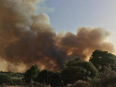 Συνεχείς αναζωπυρώσεις στη Ζάκυνθο - Τρί...