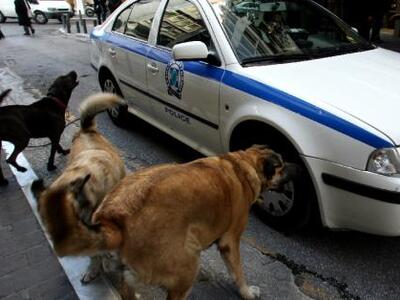 Οι νέες οδηγίες της ΕΛ.ΑΣ. για την κακοπ...