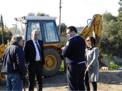 Κέρκυρα: Περιοδεία για παράνομη κοπή ελαιοδέντρων