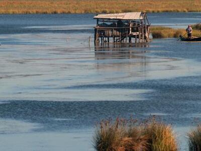 Πάτρα: Παράταση προθεσμίας συμμετοχής γι...