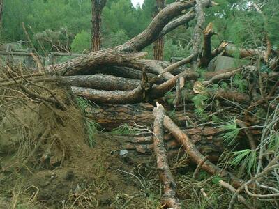 Δυτ.Αχαϊα:Κλιμάκιο της Πολιτικής Προστασ...