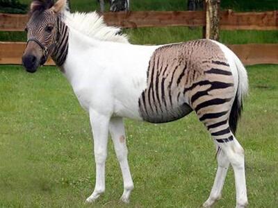 Το Photoshop κάνει θαύματα