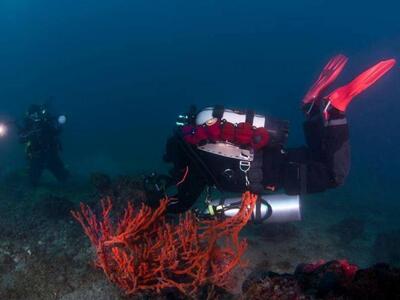 ΦΩΤΟ ΓΙΩΡΓΟΣ ΑΛΕΞΟΠΟΥΛΟΣ