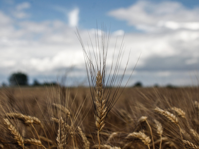Αγριεύει ο καιρός: Σε ποιες περιοχές θα βρέξει