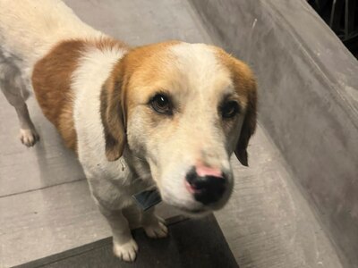 Μεγάλη κινητοποίηση Πατρινών για χαμένο ...