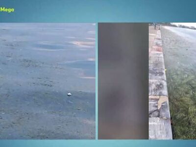 Ο Θερμαϊκός γέμισε φύκια και σκουπίδια