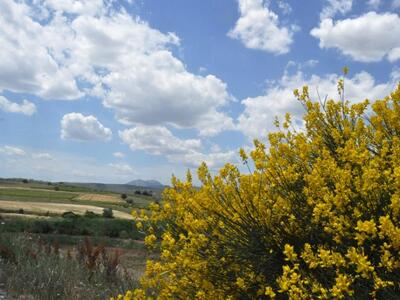 Δυτική Ελλάδα: Καλός ο καιρός αλλά και τ...