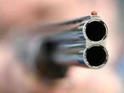 'Ενοχος 71χρονος που πυροβόλησε αδέσποτο